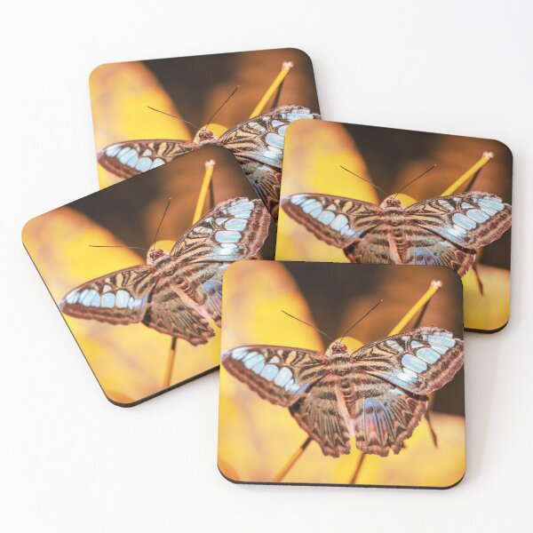 Item preview, Blue and Black Butterfly Photography Art designed and sold by H-MathisDesigns.