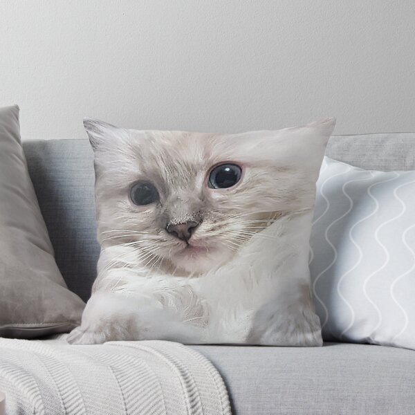 Item preview, Super cute lynx ragdoll kitten  designed and sold by Fluffycat2020.