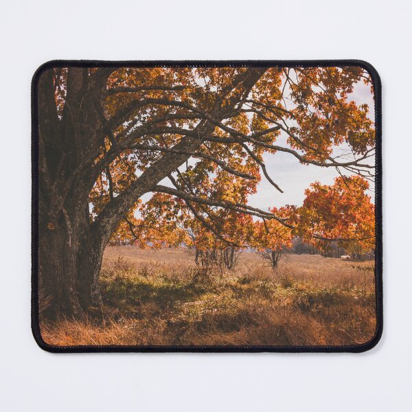 Item preview, Limbs Laden With Autumn designed and sold by Jim Love.