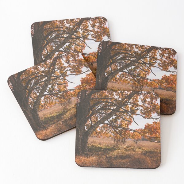Item preview, Limbs Laden With Autumn designed and sold by Jim Love.