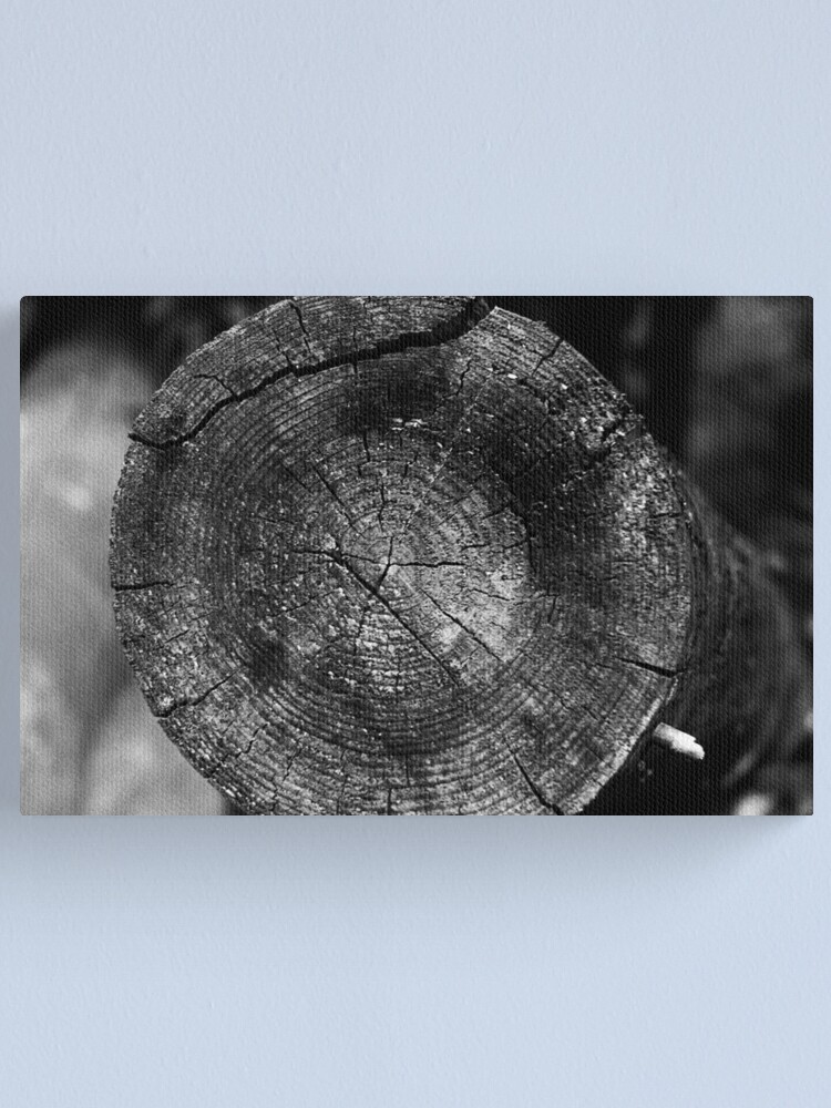 Alternate view of Wood Canvas Print