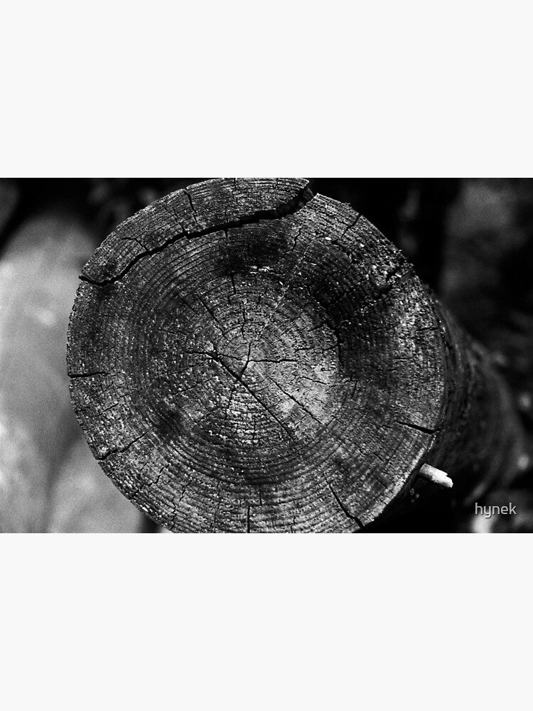 Wood by hynek