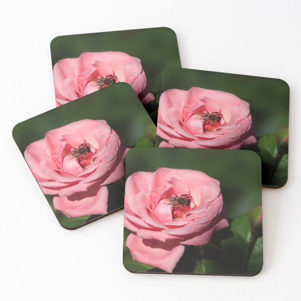 Item preview, Pink rose on nature background designed and sold by olena2552.