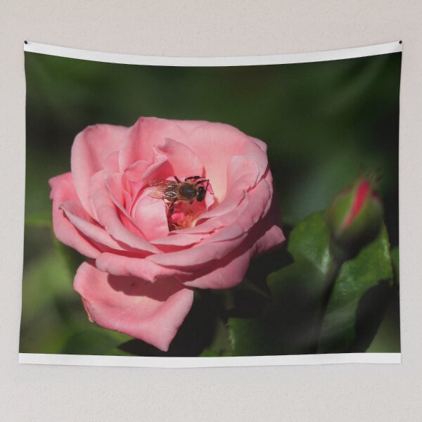 Item preview, Pink rose on nature background designed and sold by olena2552.