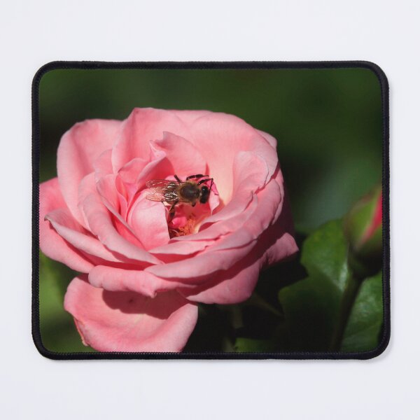 Item preview, Pink rose on nature background designed and sold by olena2552.