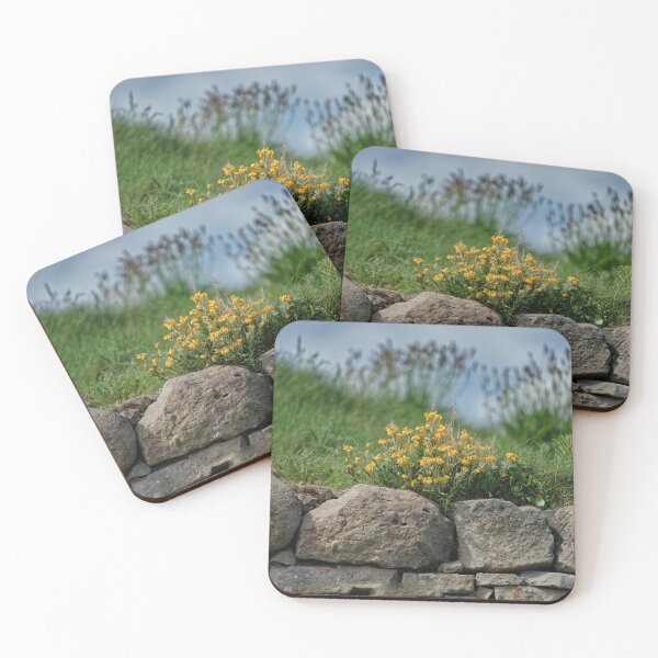 Item preview, Flowers on a Wall designed and sold by Tom McPherson Photography.