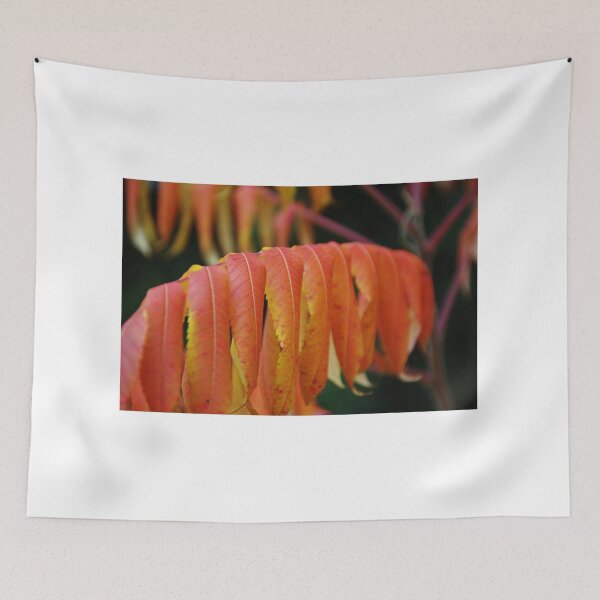 Item preview, Autumn Rhus In My Garden designed and sold by lezvee.