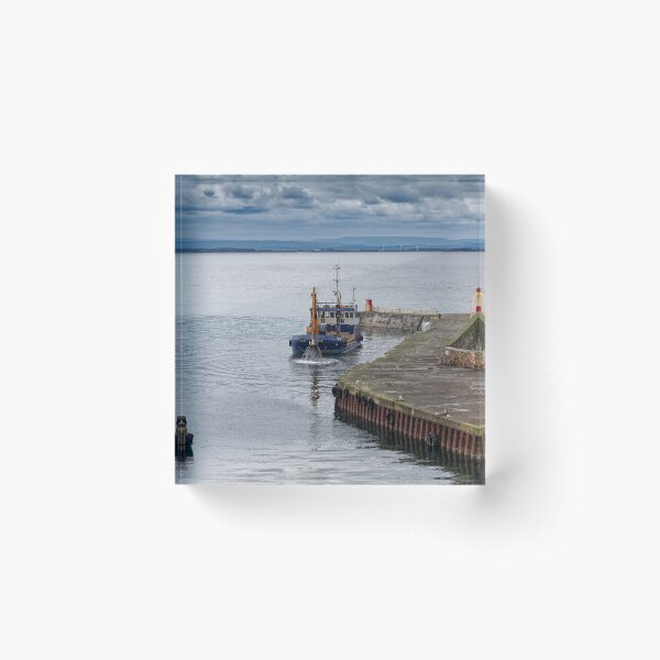 Item preview, Selkie at Burghead Harbour designed and sold by Tom McPherson Photography.