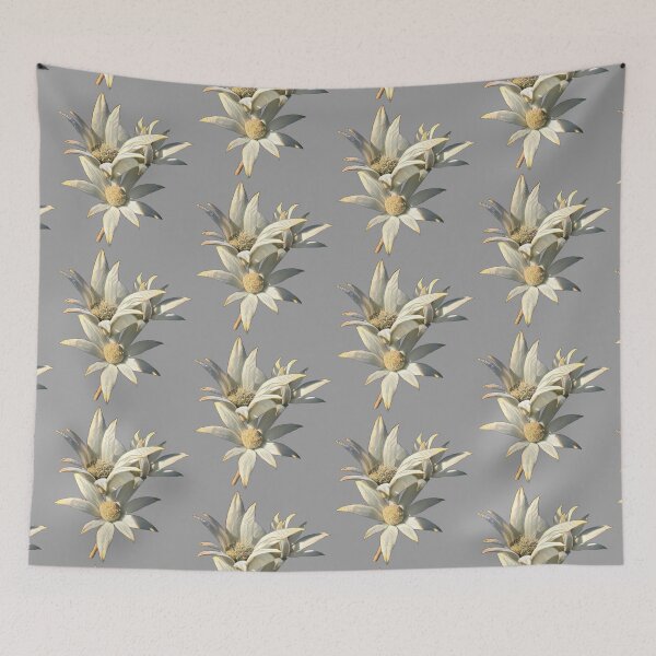Item preview, Australian flannel flower  designed and sold by PipAndTheSea.
