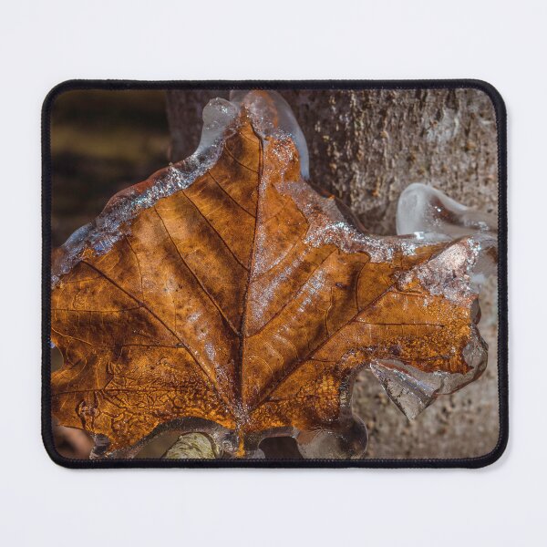 Item preview, Frozen Autumn 5 designed and sold by Jim Love.