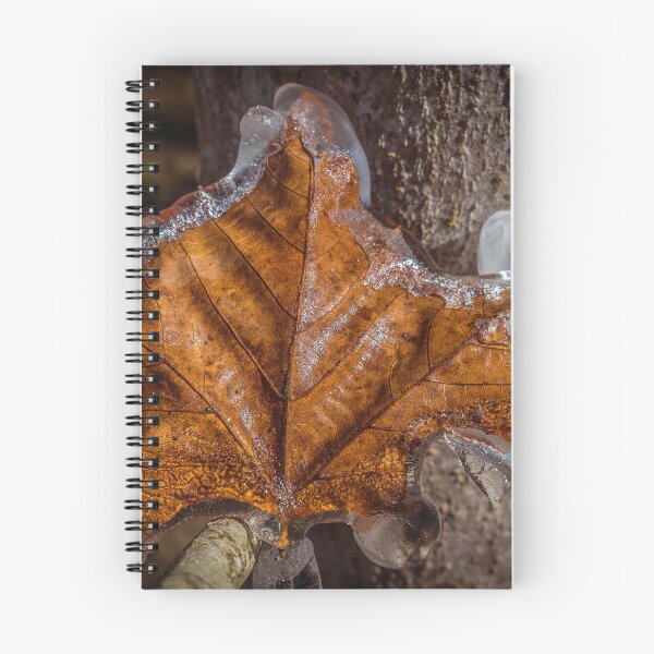 Item preview, Frozen Autumn 5 designed and sold by Jim Love.