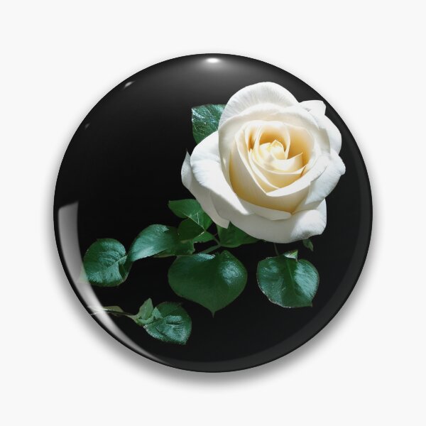 Item preview, Beautiful white rose flower artwork designed and sold by gramizzia.