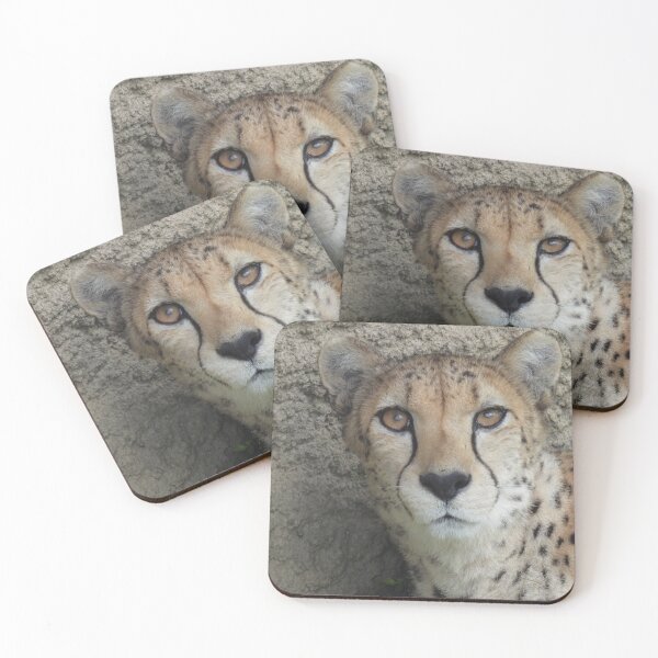 Item preview, Cheetah Watching designed and sold by TheSplitWindow.