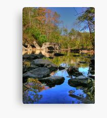 Big Rock - Beargrass Creek - Cherokee Park Canvas Print