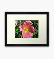 pink holly Framed Print
