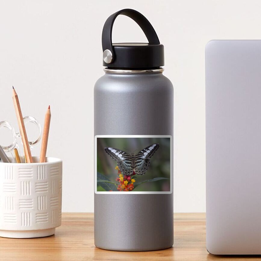 Item preview, Sticker designed and sold by pietrofoto.