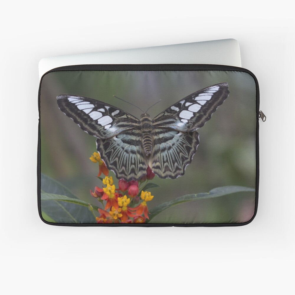 Item preview, Laptop Sleeve designed and sold by pietrofoto.
