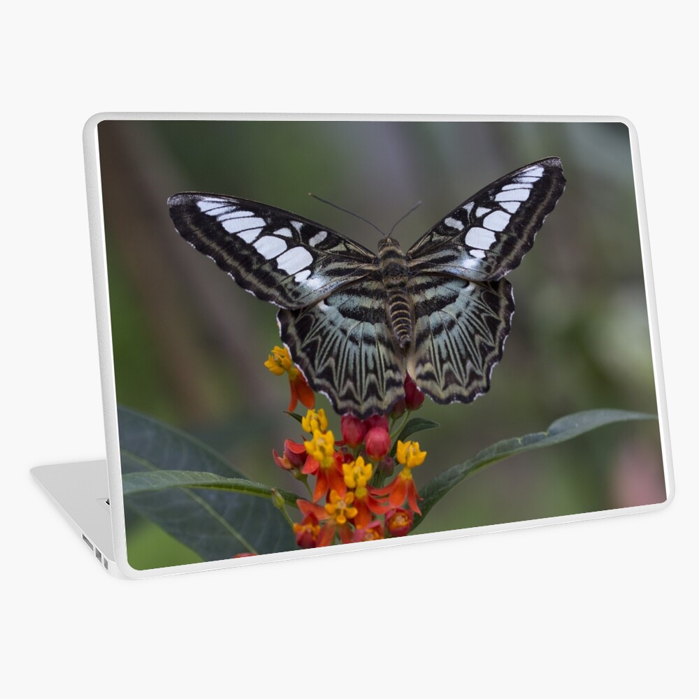 Item preview, Laptop Skin designed and sold by pietrofoto.
