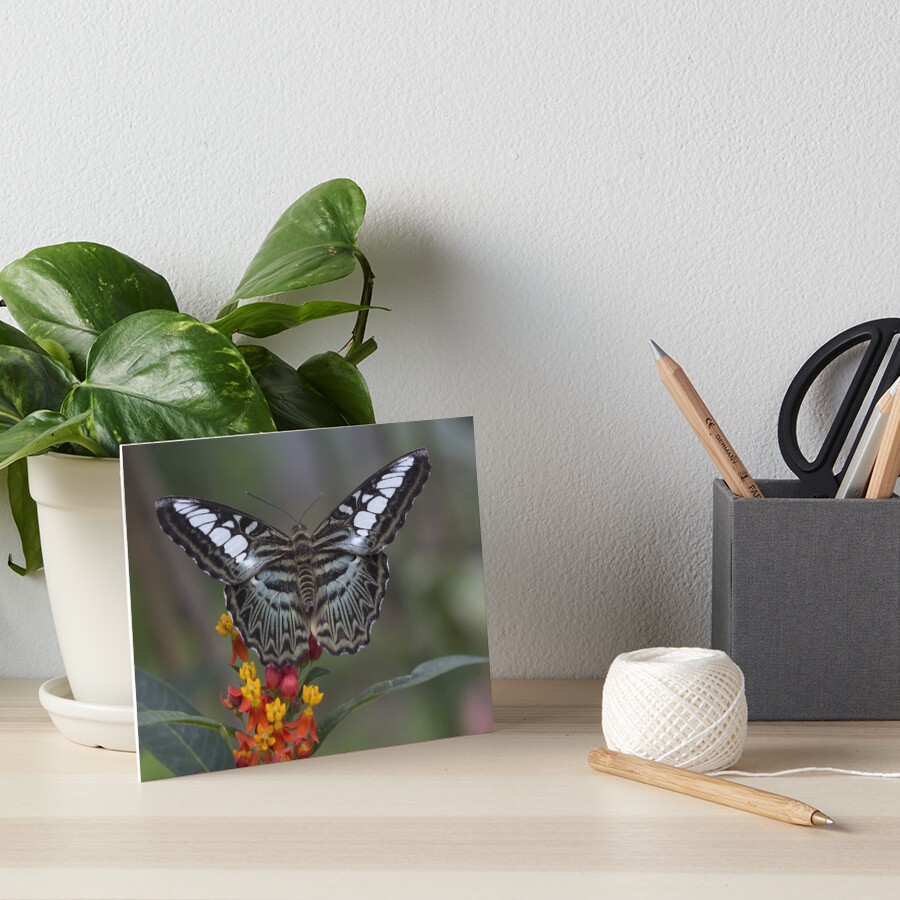 Item preview, Art Board Print designed and sold by pietrofoto.