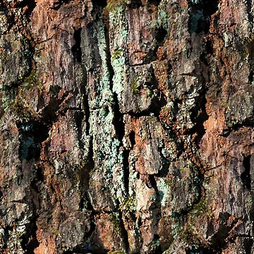 Artwork thumbnail, Tree bark pattern by AdioraStore