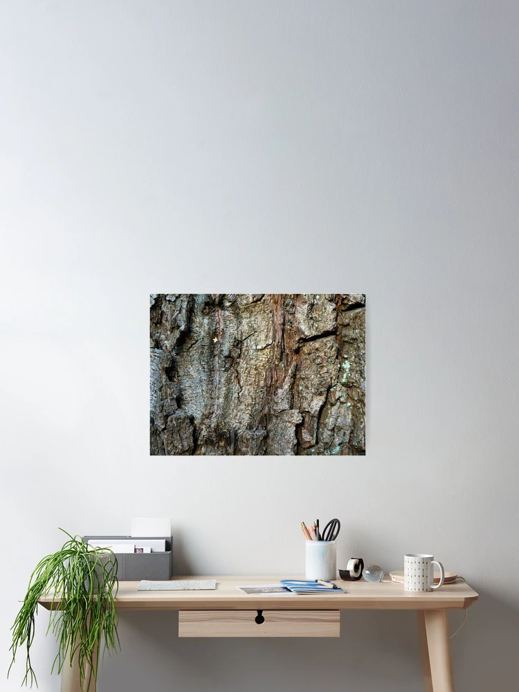 Thumbnail 2 of 3, Poster, Tree bark pattern designed and sold by AdioraStore.