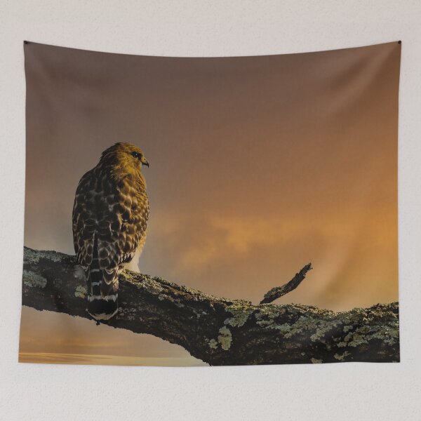 Item preview, Sunrise Vigil designed and sold by TP-Designs.