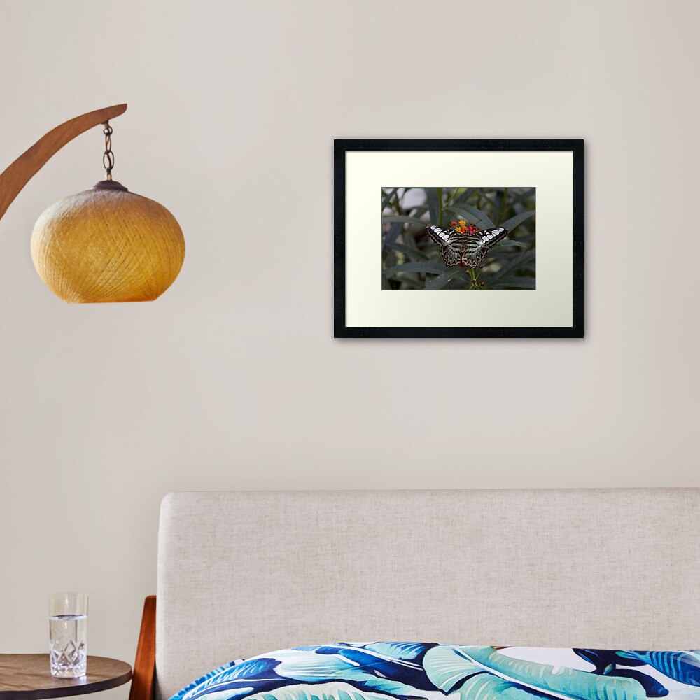 Item preview, Framed Art Print designed and sold by pietrofoto.