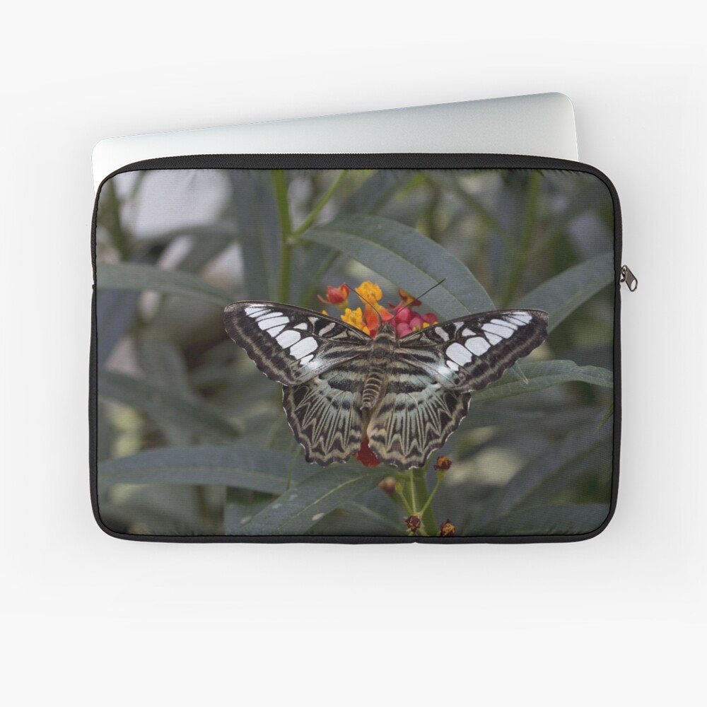 Item preview, Laptop Sleeve designed and sold by pietrofoto.
