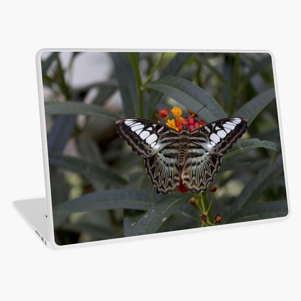 Item preview, Laptop Skin designed and sold by pietrofoto.