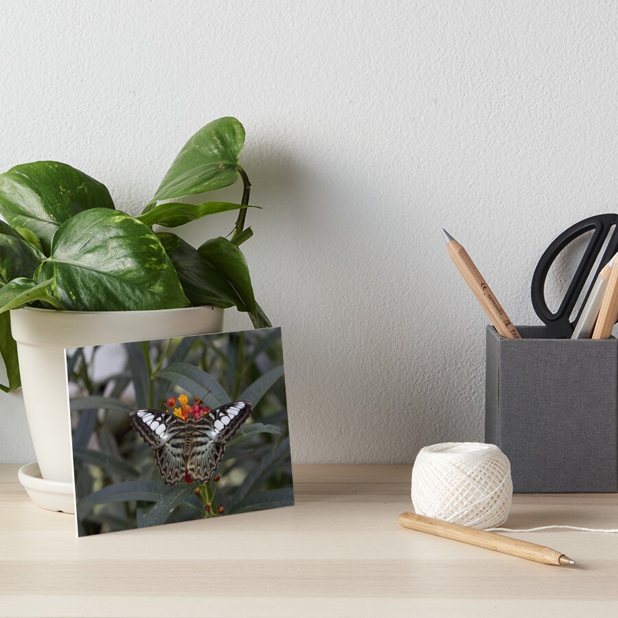 Item preview, Art Board Print designed and sold by pietrofoto.