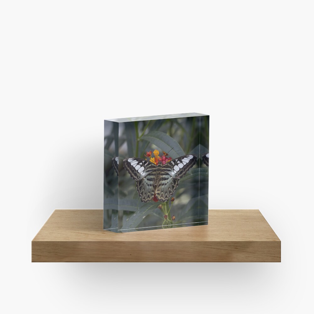 Item preview, Acrylic Block designed and sold by pietrofoto.
