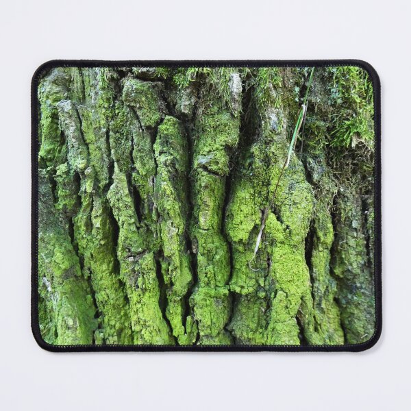 Item preview, Ash tree bark designed and sold by AdioraStore.