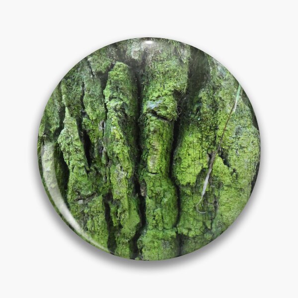 Item preview, Ash tree bark designed and sold by AdioraStore.