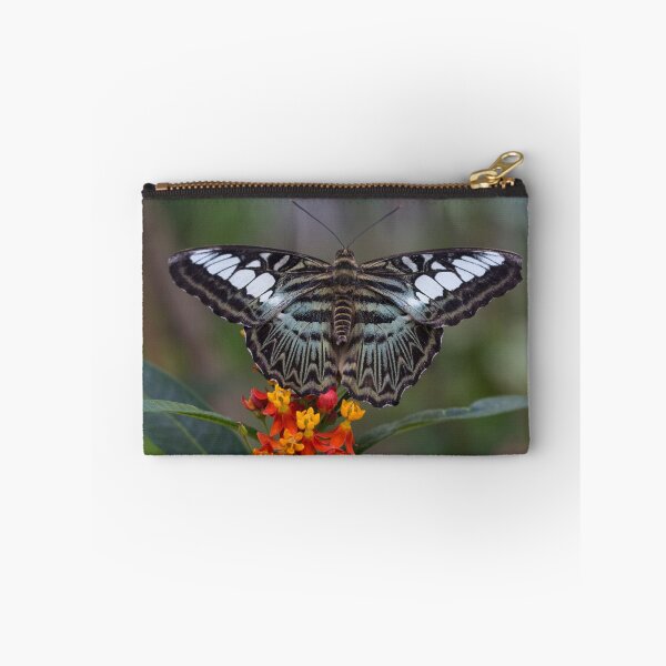 Item preview, Clipper butterfly designed and sold by pietrofoto.