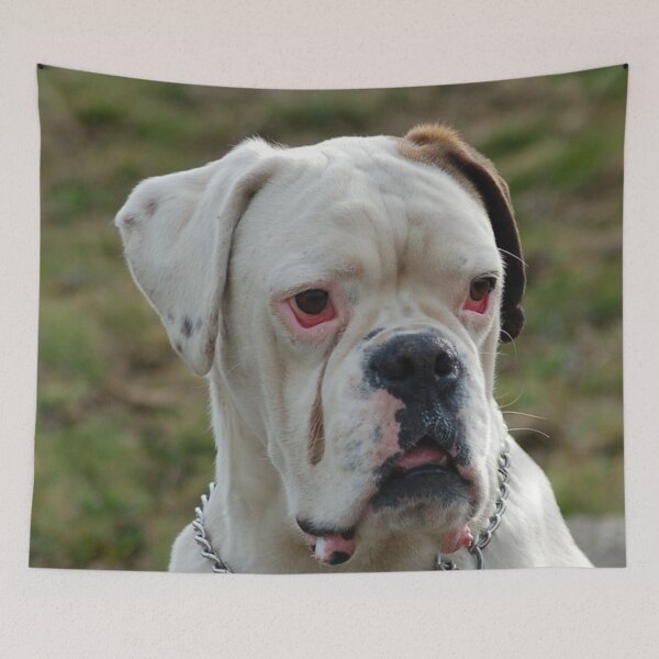 Item preview, Boxer Dog Puppy Curious, White Boxer Dog designed and sold by DesignVertex.