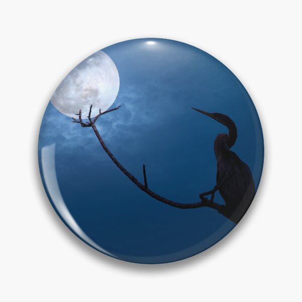 Item preview, Anhinga Moon designed and sold by VisualVoyages.