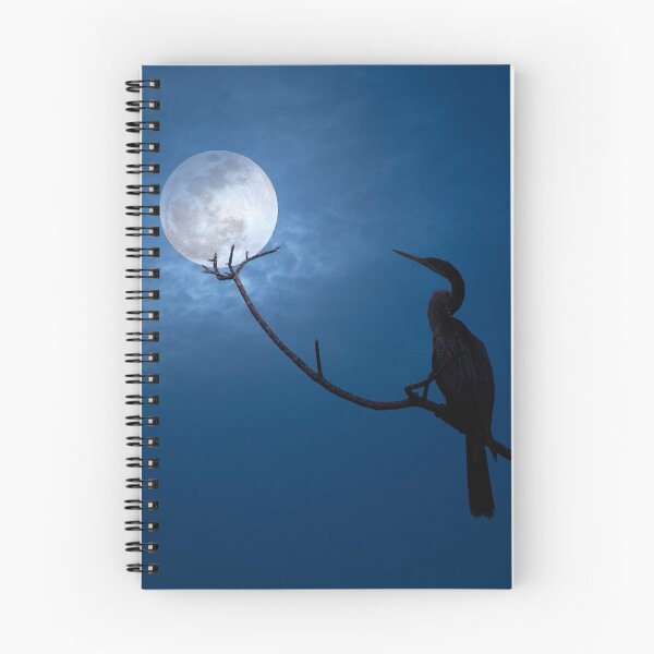 Item preview, Anhinga Moon designed and sold by VisualVoyages.