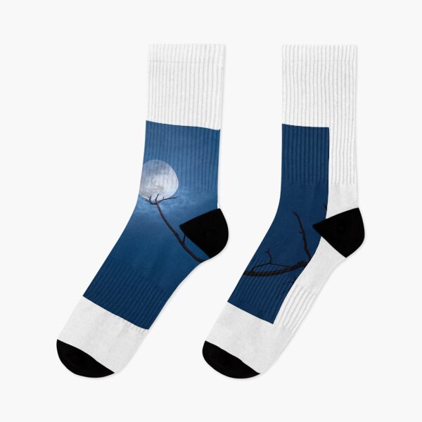 Item preview, Anhinga Moon designed and sold by VisualVoyages.