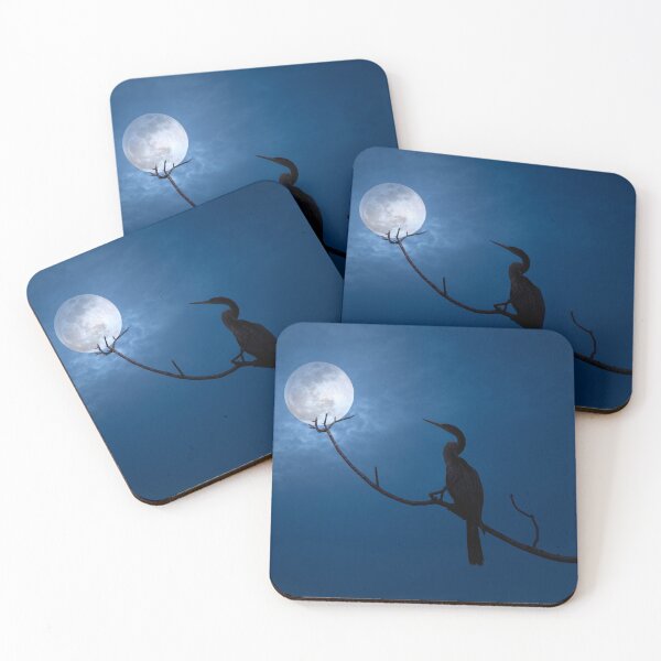 Item preview, Anhinga Moon designed and sold by VisualVoyages.