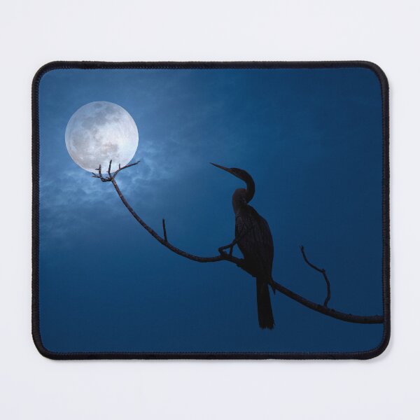 Item preview, Anhinga Moon designed and sold by VisualVoyages.