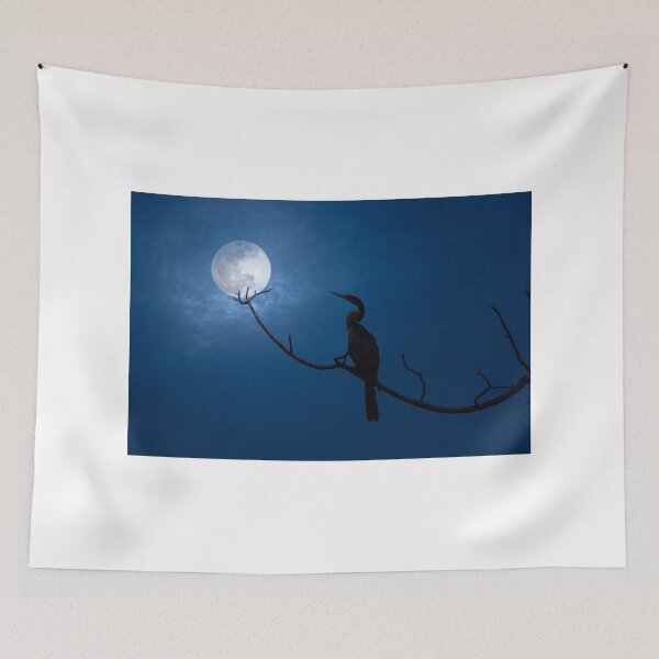 Item preview, Anhinga Moon designed and sold by VisualVoyages.
