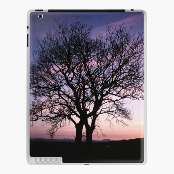 Two Trees embracing iPad Skin