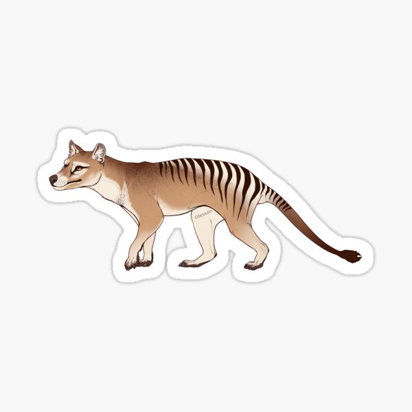 Item preview, Realistic Thylacine (Tasmanian Tiger) Sticker/Magnet/Mug designed and sold by Olessan.