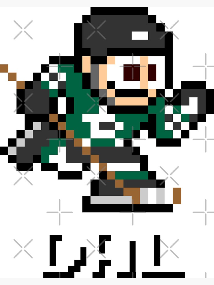 St. Louis Blues (8-bit Retro Pixel Art Videogame Player