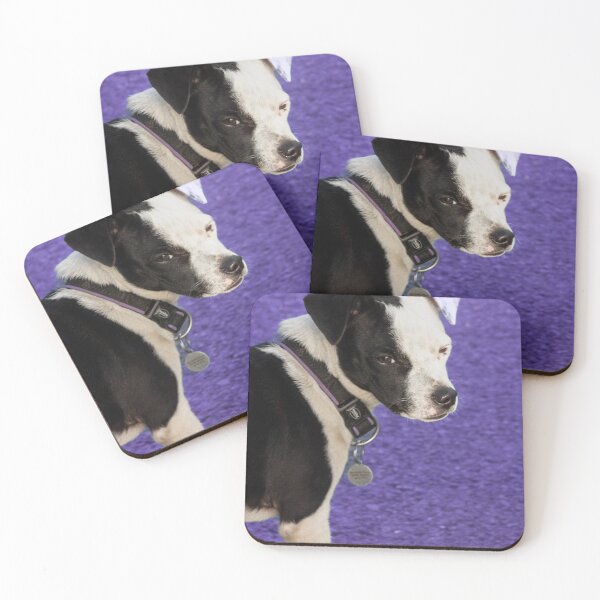 Item preview, black and white pup designed and sold by Francespoppy.