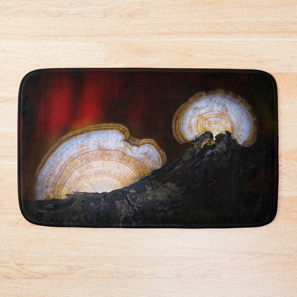 Item preview, Artist's Conks at Sunset designed and sold by VisualVoyages.