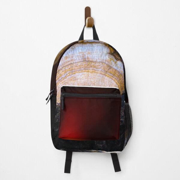 Item preview, Artist's Conks at Sunset designed and sold by VisualVoyages.