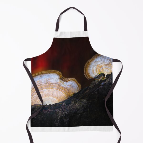 Item preview, Artist's Conks at Sunset designed and sold by VisualVoyages.