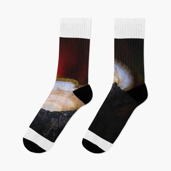 Item preview, Artist's Conks at Sunset designed and sold by VisualVoyages.