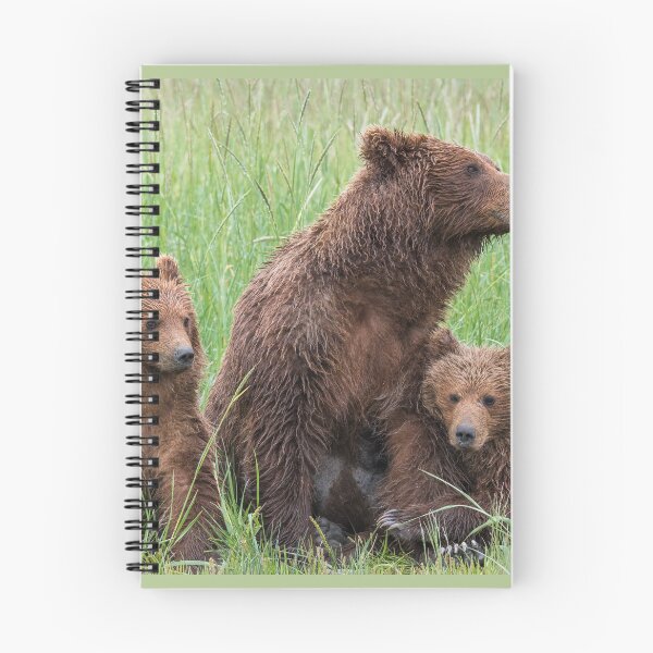 Item preview, three bears cubs family grizzly brown designed and sold by LGMmugsdesign.